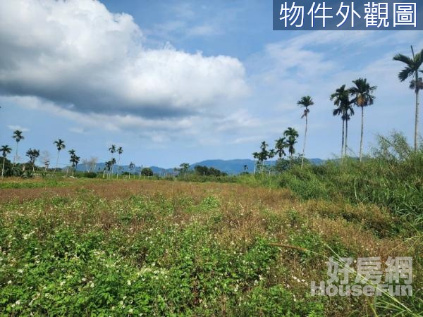 🌿光復193縣道近馬太鞍橋角地風景優美農地