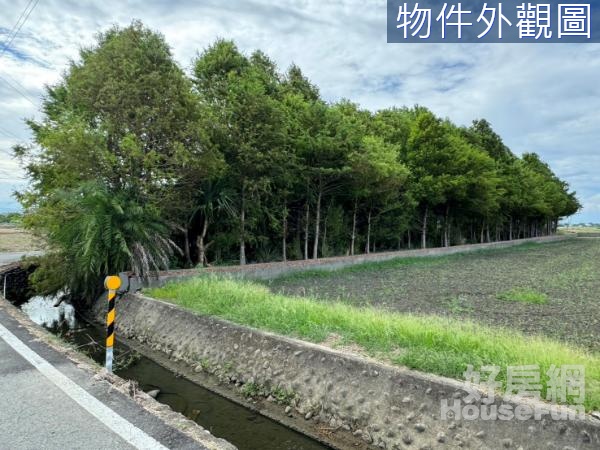 近成興市集旁45米大面寬雙面路超便宜農地