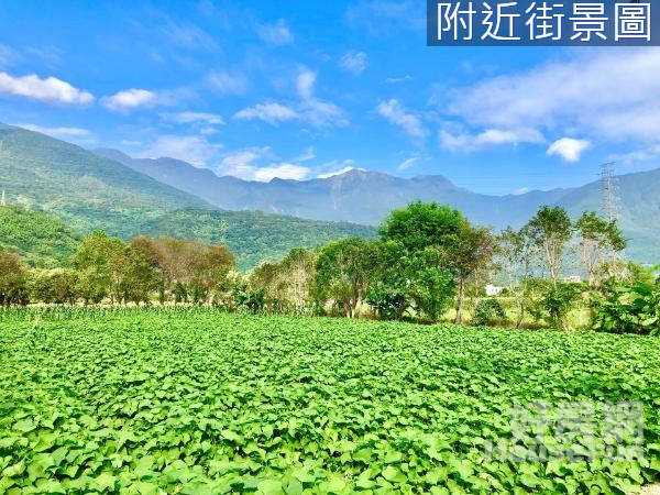 專售~吉安有電田園山景美好農地14F111