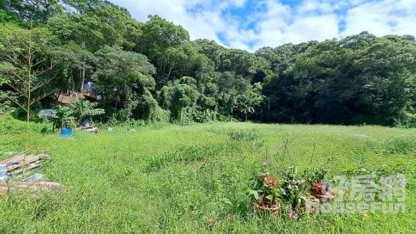 <專任>林口區頂福段桃花園農地(1702坪)