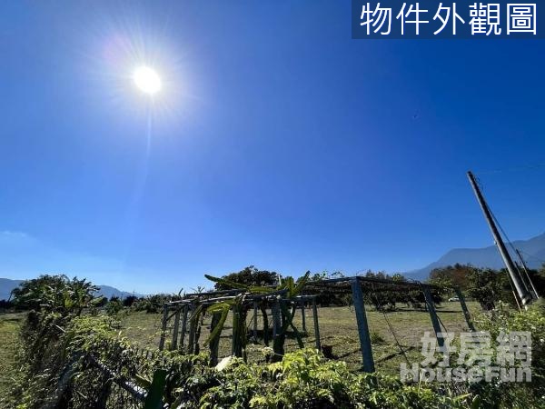 壽豐溪口臨路方正漂亮美農地(一)UF812