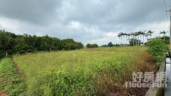 (綠866)觀音蓮花園正金華路農地