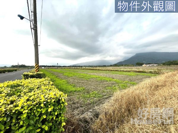 🌳鳳林雙面臨路面寬型慢活悠閒農地🌳