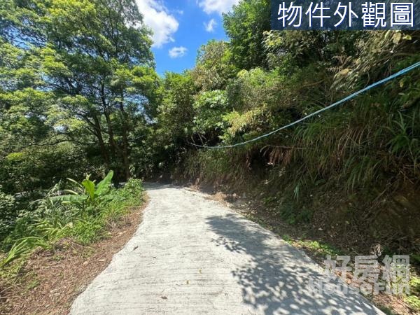 龜山兔子坑闊葉林森林用地