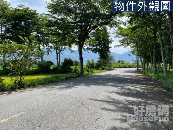 台東鹿野#實價登錄的投資雙面臨路地#直接斡旋來談