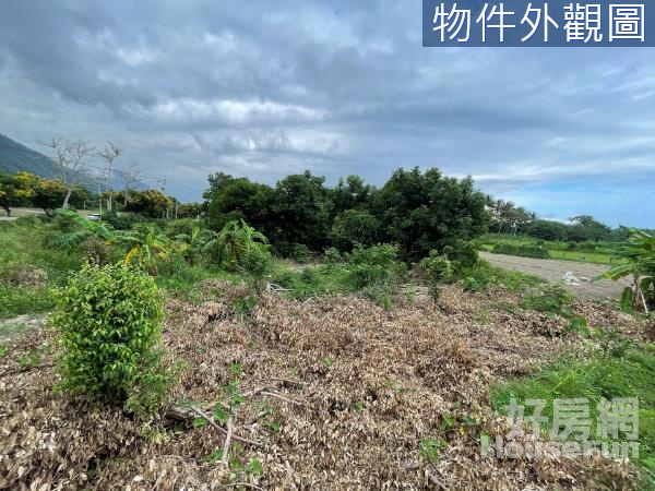 🌈北三棧台九線旁臨路地形漂亮小農地🌈