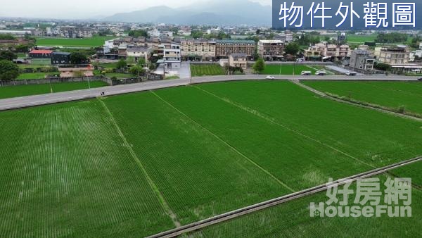 宜蘭運動公園旁珍稀大面寬方正美農地