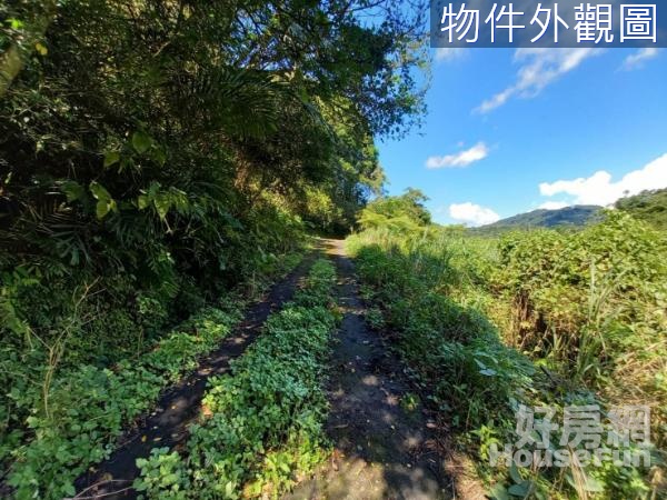 ❤️大溪環湖段農牧地❤️