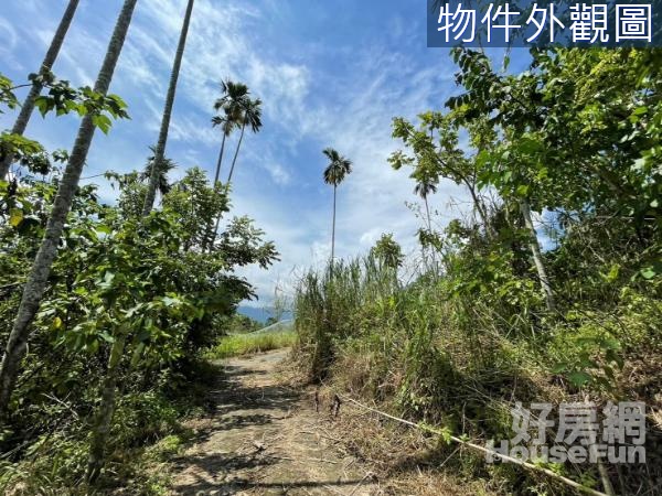 『嘉義大埔』㊣大埔路面上大面寬建地