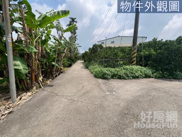 ⭐️豐原公老坪平整方正農地｜灌溉水塔｜都市假日農