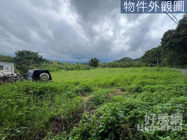 關西臨路400坪漂亮農地~近東光國小