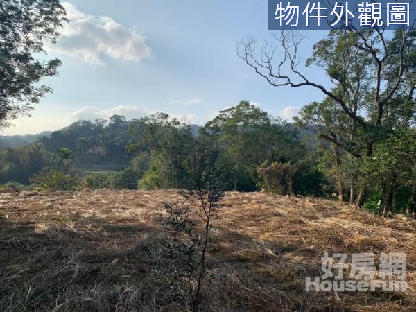 沙坑大平台投資農地