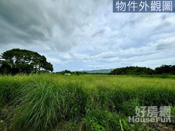 🌸花蓮壽豐忠孝綠映美景休閒小農地(二)