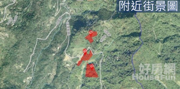 🌱太平區頭汴坑山坡保育區林業用地