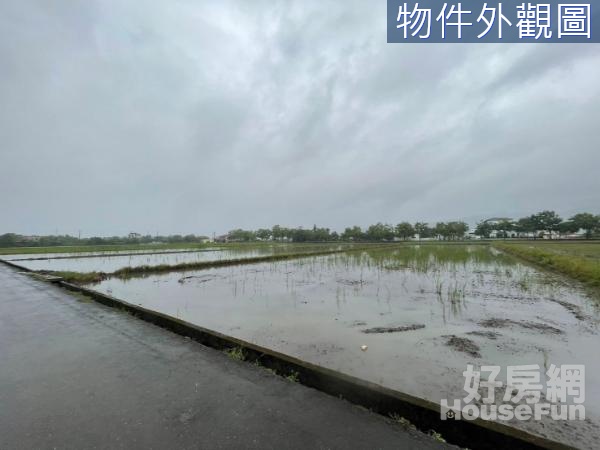 三星新萬貫大面寬足坪農地