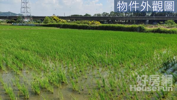 🌱霧峰亞大醫院前｜臨10米路｜投資置產美農地