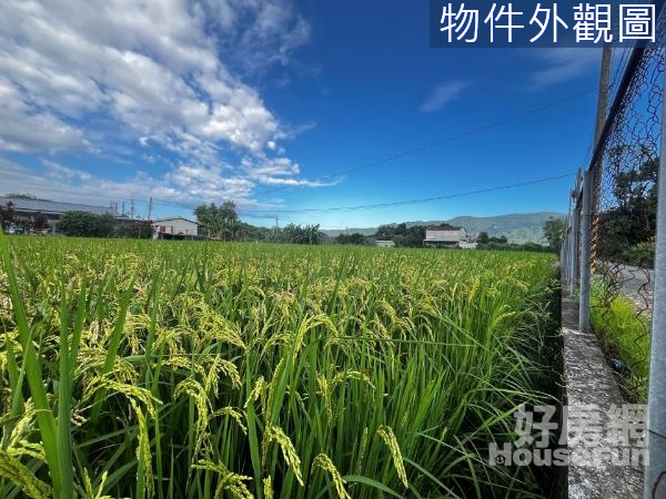 🌈鳳林北林活動中心旁臨路小農地🌈