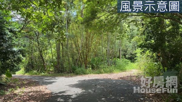 冬山綠油油芬多精山坡地