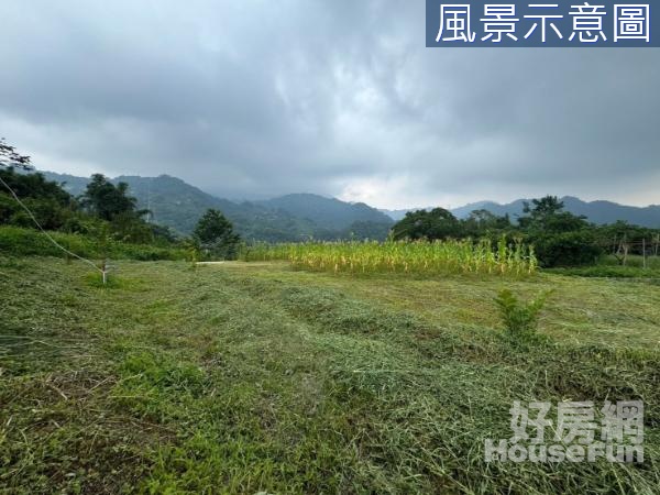 ★東勢大茅埔景觀平整農地～近森林花園