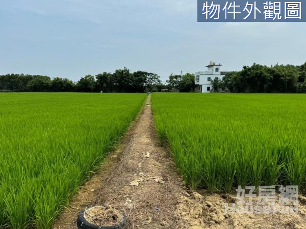 新屋社子國小旁漂亮美農地