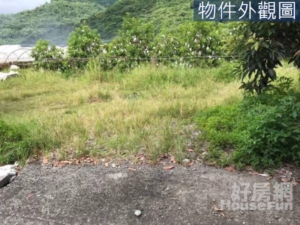 愛上高雄六龜區黃金果園方正美農地