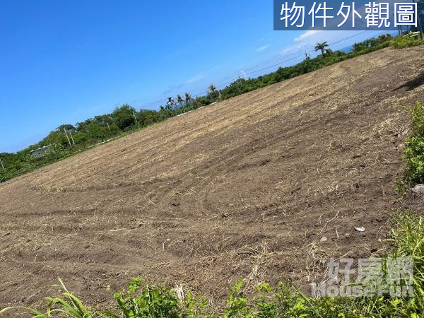 東河鄉近省道 臨路大面寬 風景區旱地