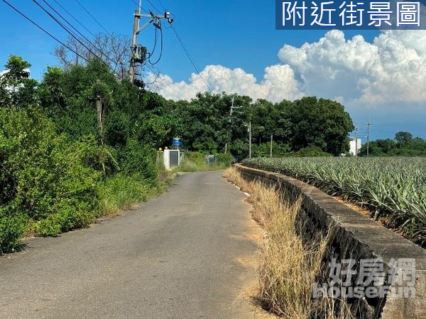 大樹區臨路大面寬好山水漂亮美農地