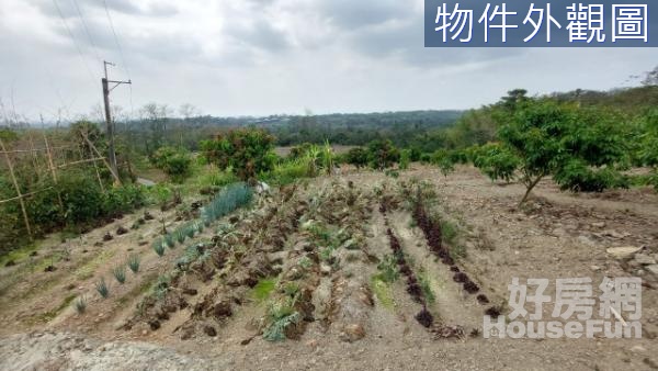 三地門山坡保育區農地 LG