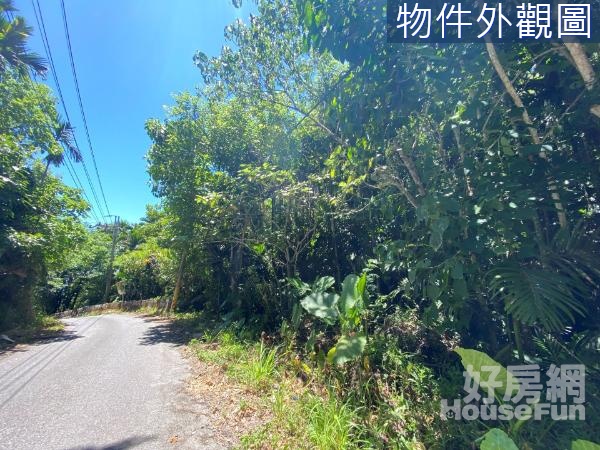 🌿獨家專售｜磯崎高山風景區｜原保林業農地🌿