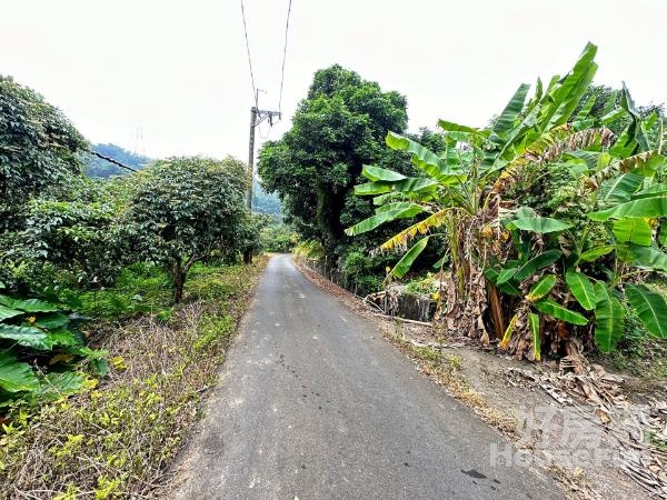 🌴台南白河區175咖啡公路旁農牧用地