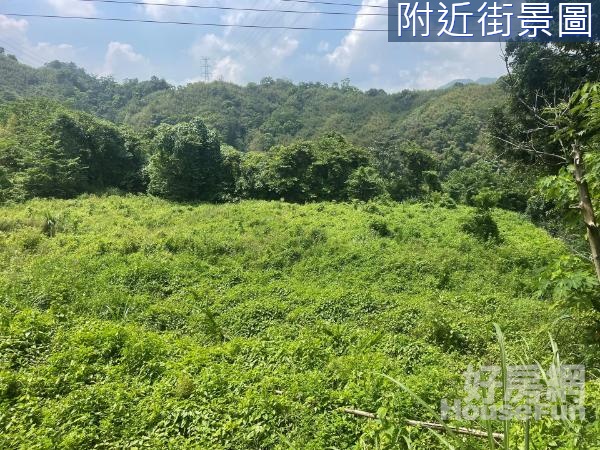 (綠857)獅潭鄉進泉莊民宿旁山坡地