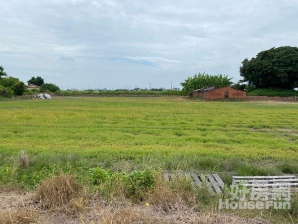 嘉義東石三面臨路村莊旁漂亮農地