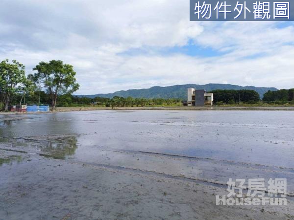 鳳林｜低總價方正足坪視野開闊美農地༻A