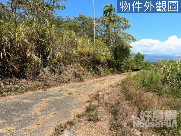 三星草湖玉尊宮持分山坡地