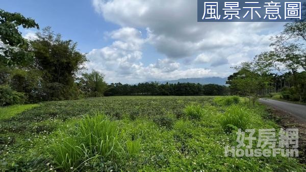 熱銷~瑞穗舞鶴茶園臨路農地(B)14F172