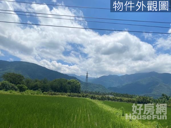 六龜新威苗圃8.5甲山坡地