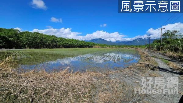 鳳林綜開段一般農業區農地14F405