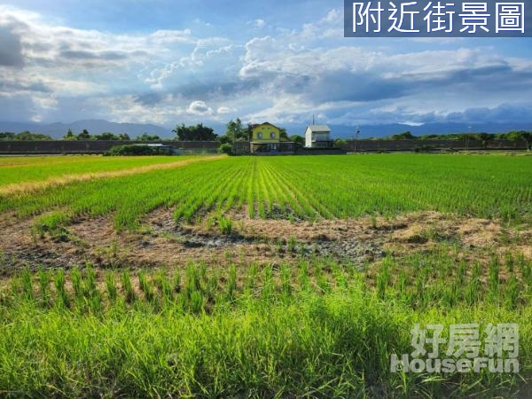 三星新日興段564農地