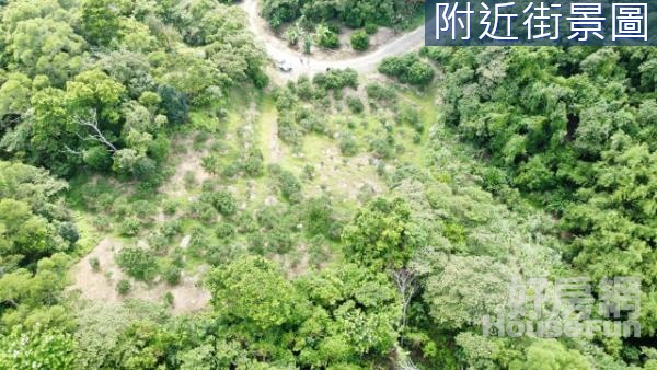 礁溪近九龍山山坡地