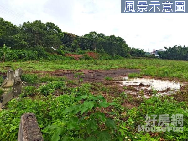 鶯歌區尖山堆漂亮千坪乙工~可分割