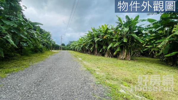 🍃花蓮市區-近豐村社區好利用小筆都內農地🍃