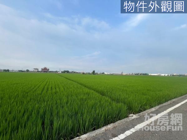 彰化竹塘890鄰路方正美農地