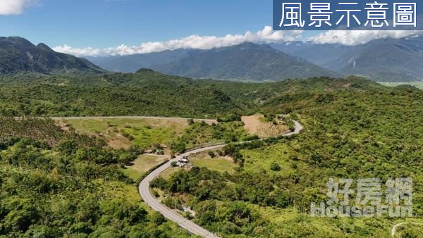 *專售*花蓮富里大里段便宜千坪農地