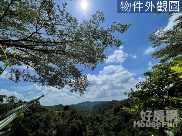 太平遠離塵囂秘境首選🌳有水有電