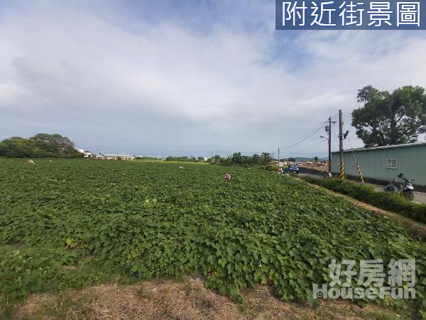 花蓮吉安鄉農地(雙面臨路)14F372