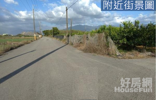 屏東縣高樹田子日新村臨路農地