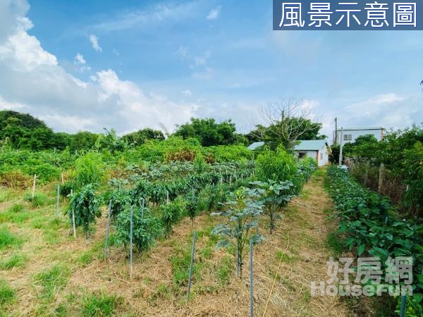 🌱降價~石岡區仙塘坪小坪數低總價休閒農牧用地