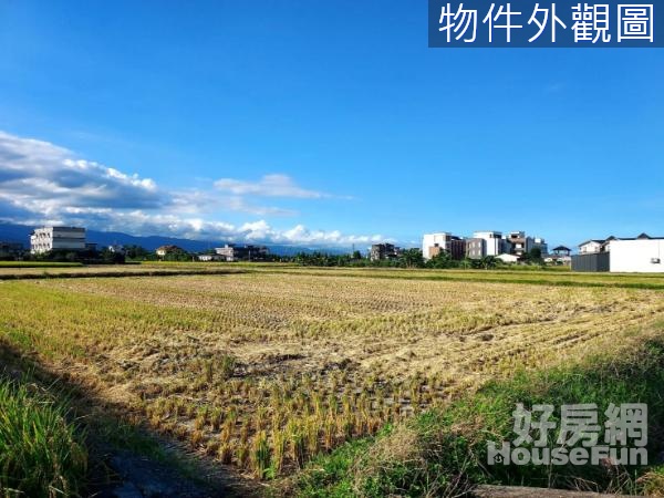 近陳定南紀念園區美農地B