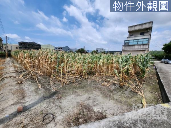 台中港特定計畫｜持分農地｜菁埔路農地218坪