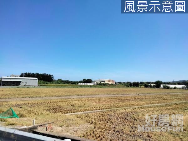 竹北中正西路旁新庄子段稻米田